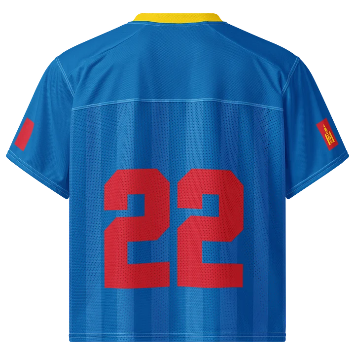 Mongolia Boxy Sports Tee product image (2)