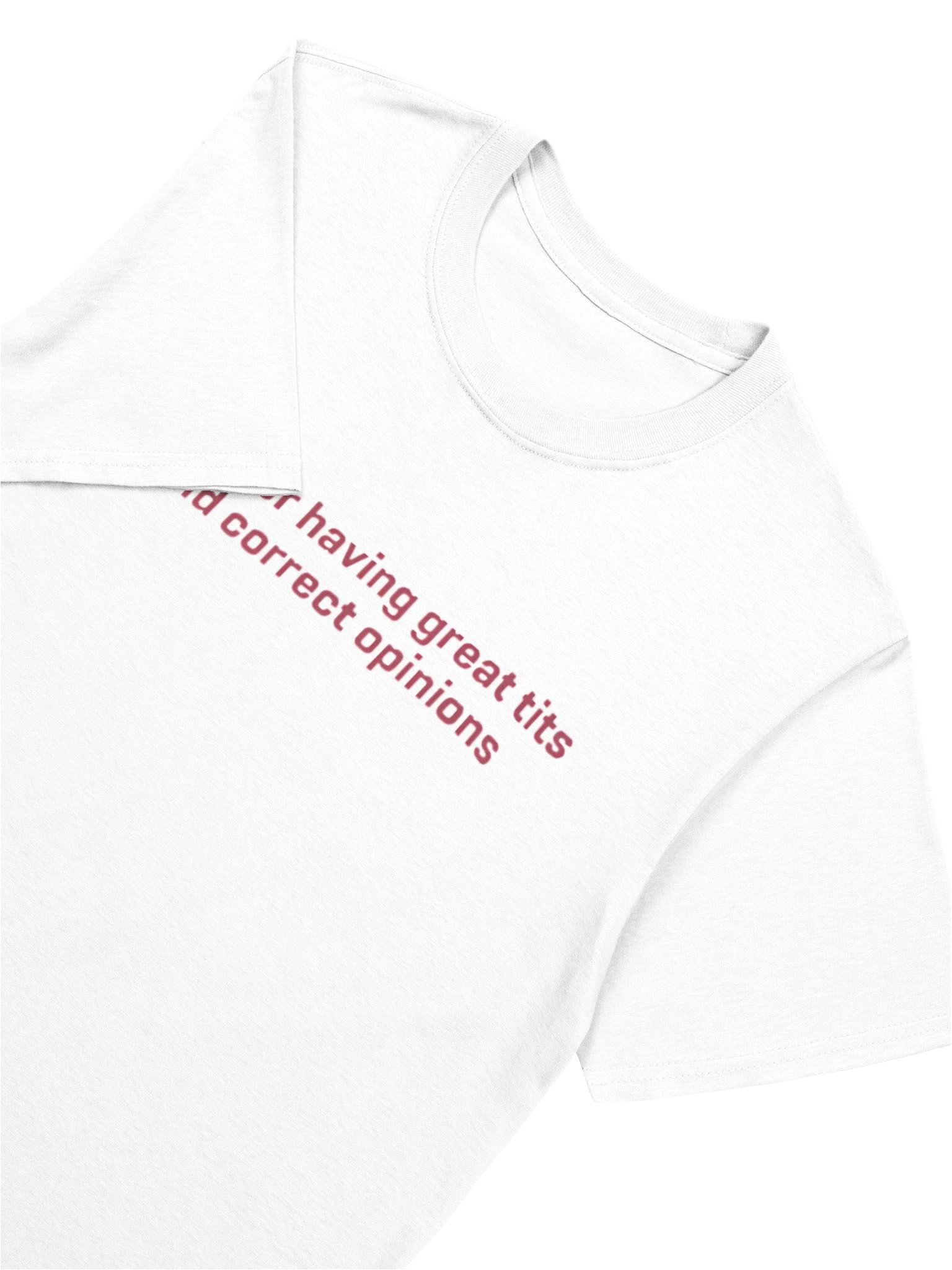 Sorry For Having Great Tits And Correct Opinions Feminist Statement Shirt product image (12)