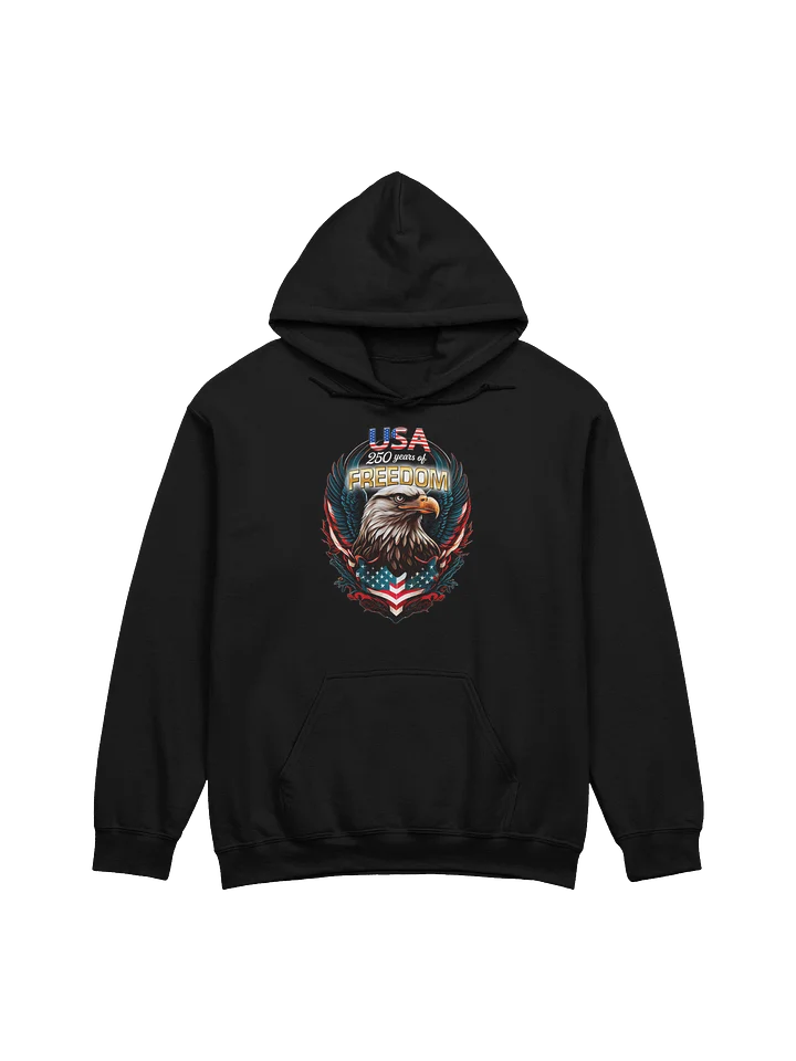 America 250 GENERIC Hoodie product image (2)