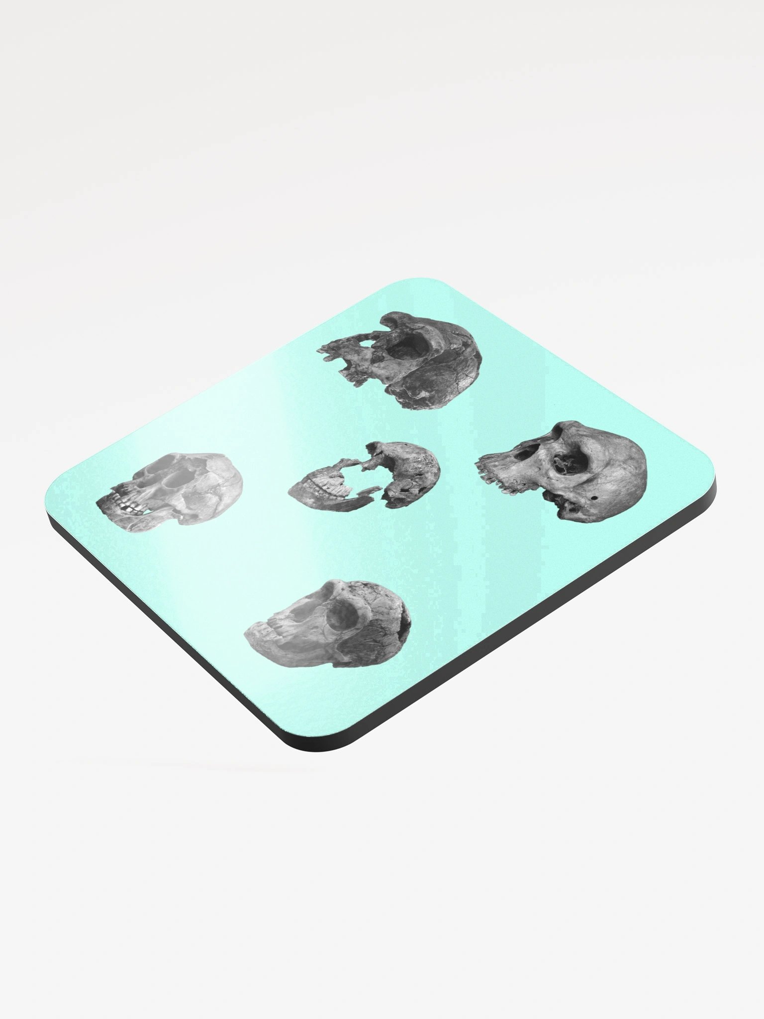 Skulls Coaster product image (3)