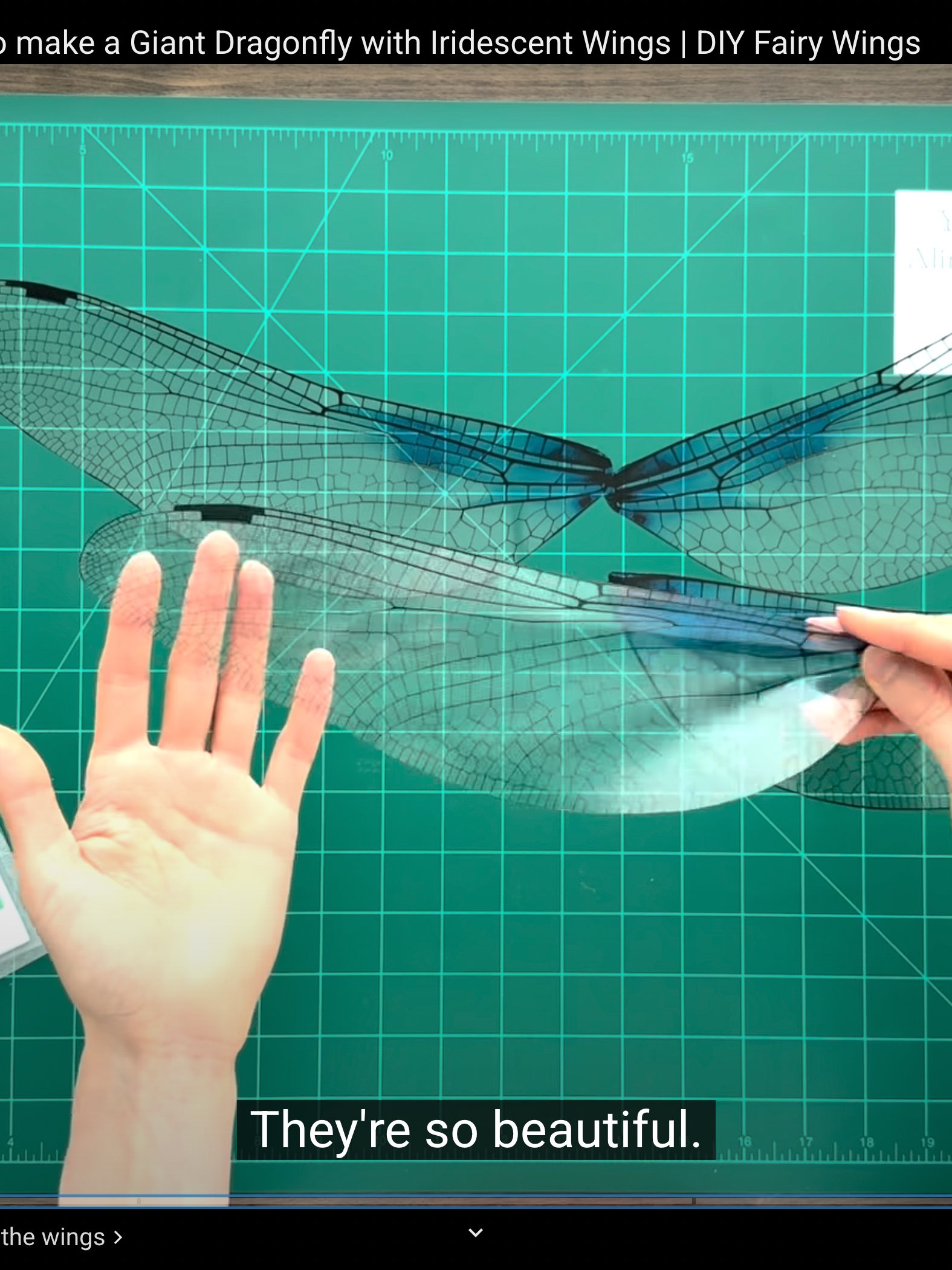 DIY Giant Dragonfly with Iridescent Wings: Templates from Video Tutorial + Materials Checklist product image (2)