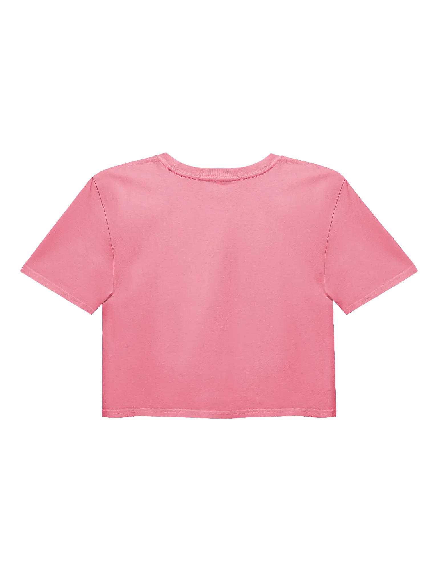 Sinister Sushii Crop Top product image (12)