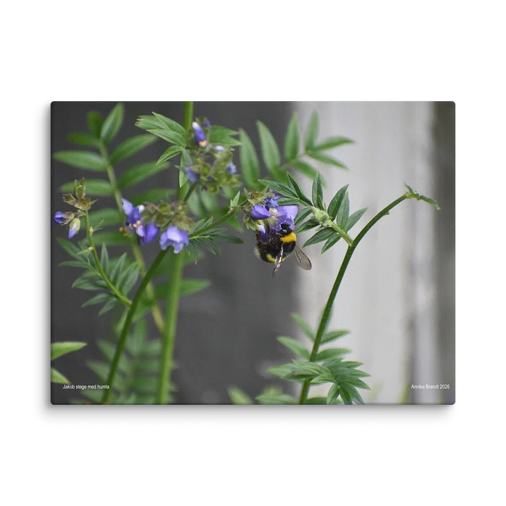 Canvas: Jakobs stege med humla product image (2)