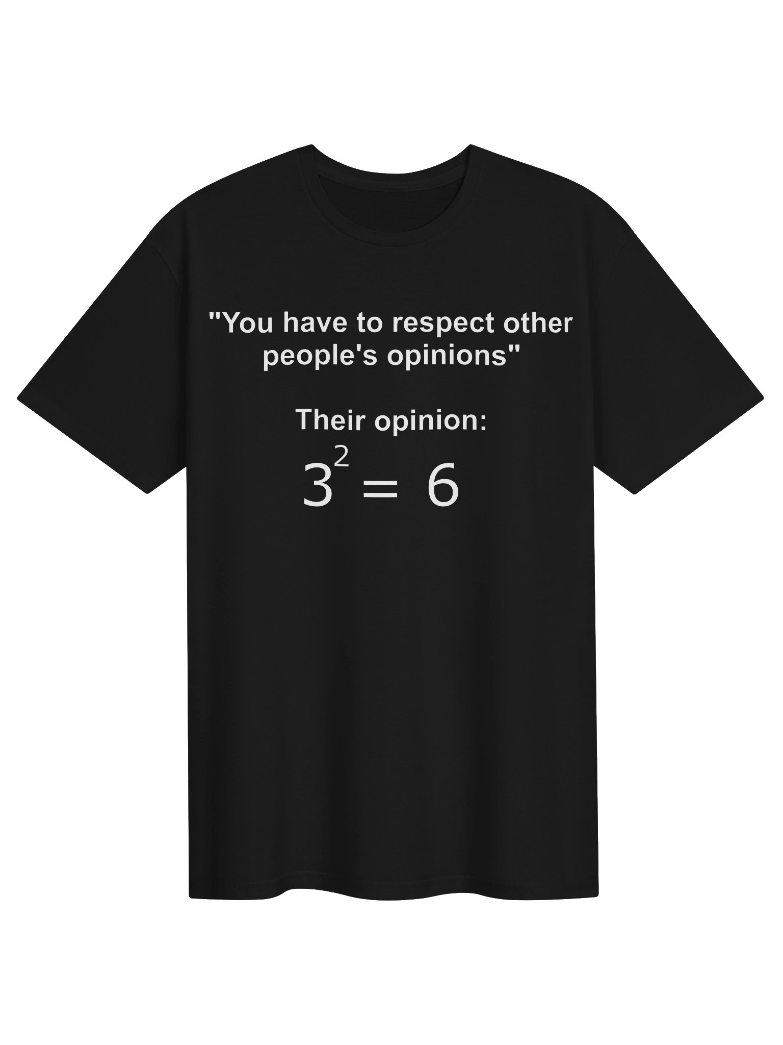 Respect Other People’s Opinions – Funny Math Joke T-Shirt product image (1)