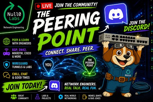 I’ve finally set up the official Null0 Labs Discord 🥳 
A place for network engineers, homelabbers & anyone who enjoys network...