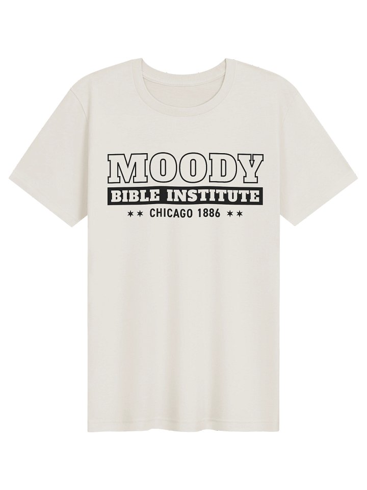 Moody Chicago T-Shirt product image (6)