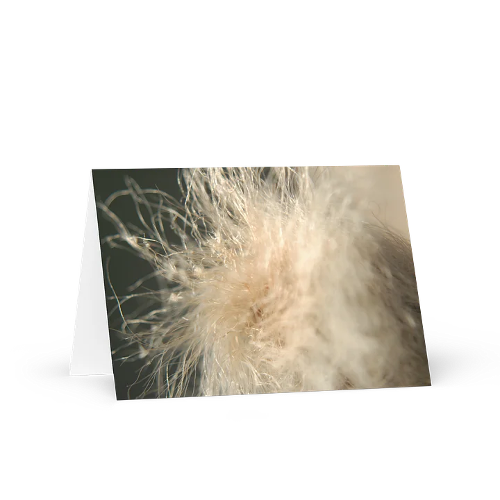 fluff — from "holding" | greeting card | eza | casa de karma product image (1)