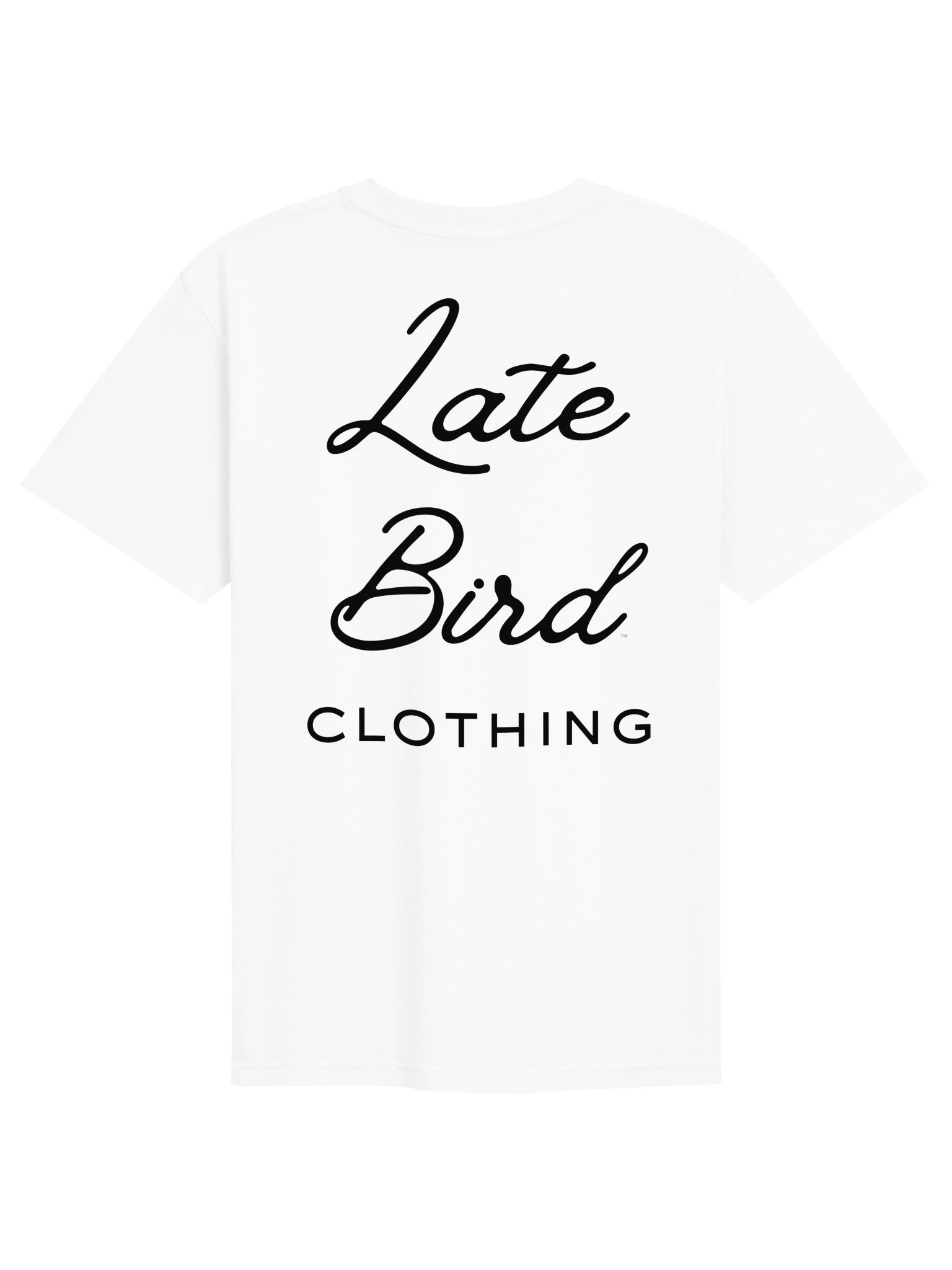 Small Logo Shirt product image (2)