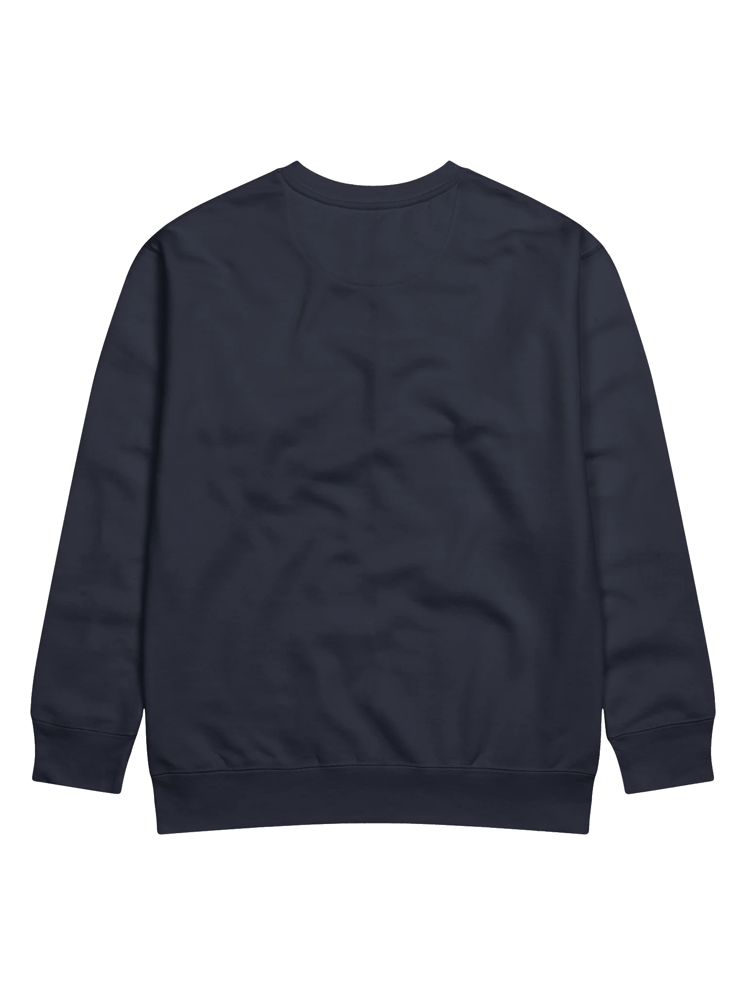 COURAGE Graphic Sweatshirt | Strength, Bravery And Perseverance. Inspirational Streetwear product image (74)