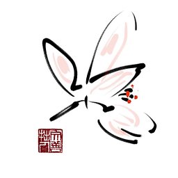 善察規律之變化，領悟生命之本源。