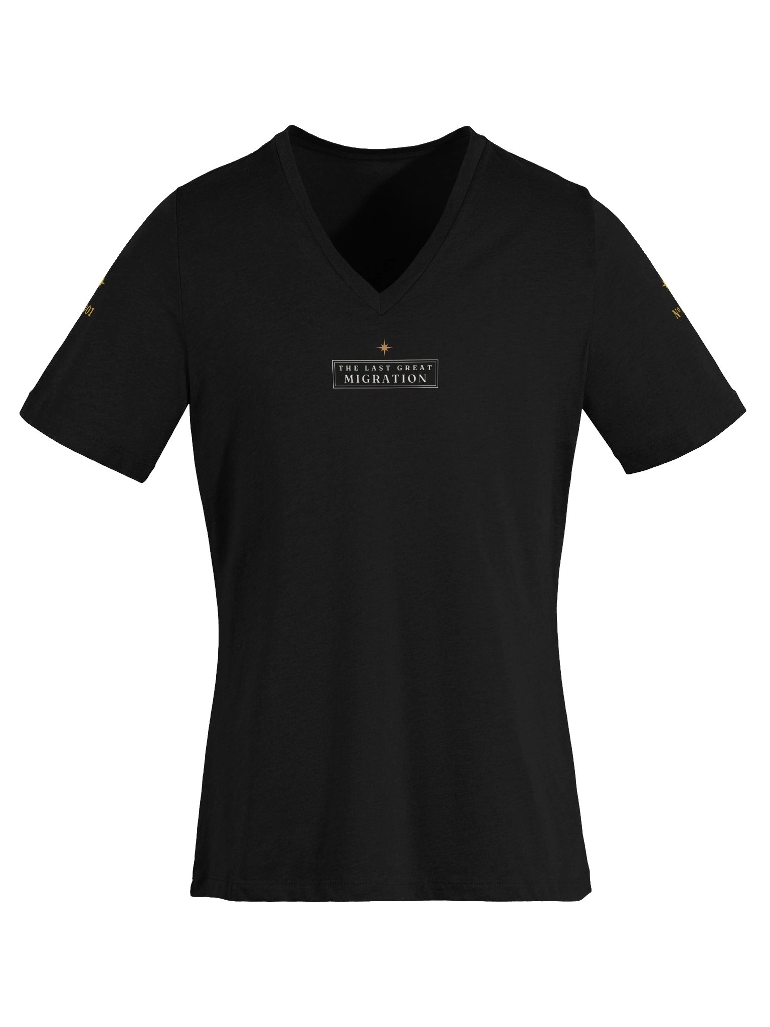 The She Moves History V Neck with Sleeve Stars (Women's) product image (5)