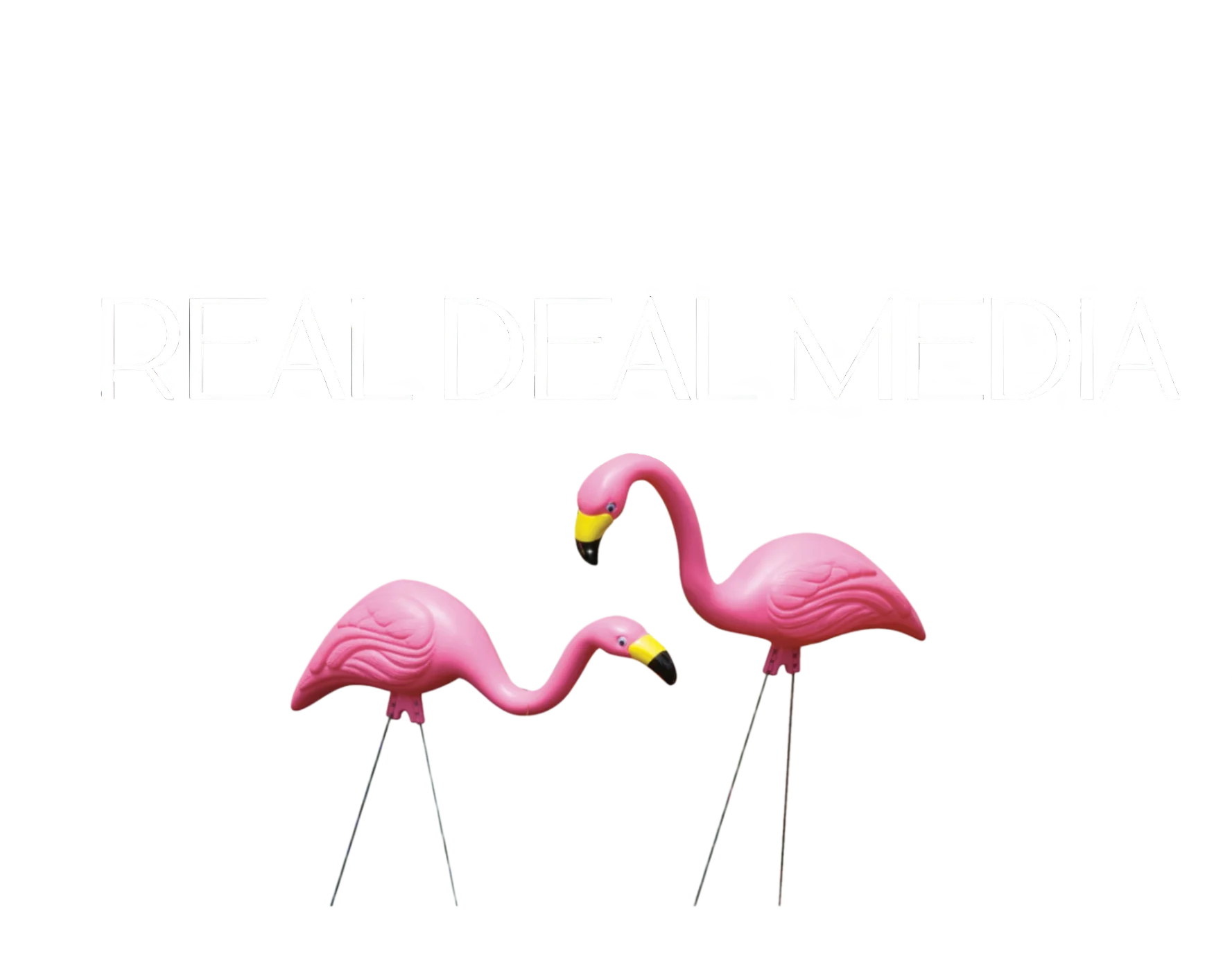 Real Deal Flamingo Tank product image (1)