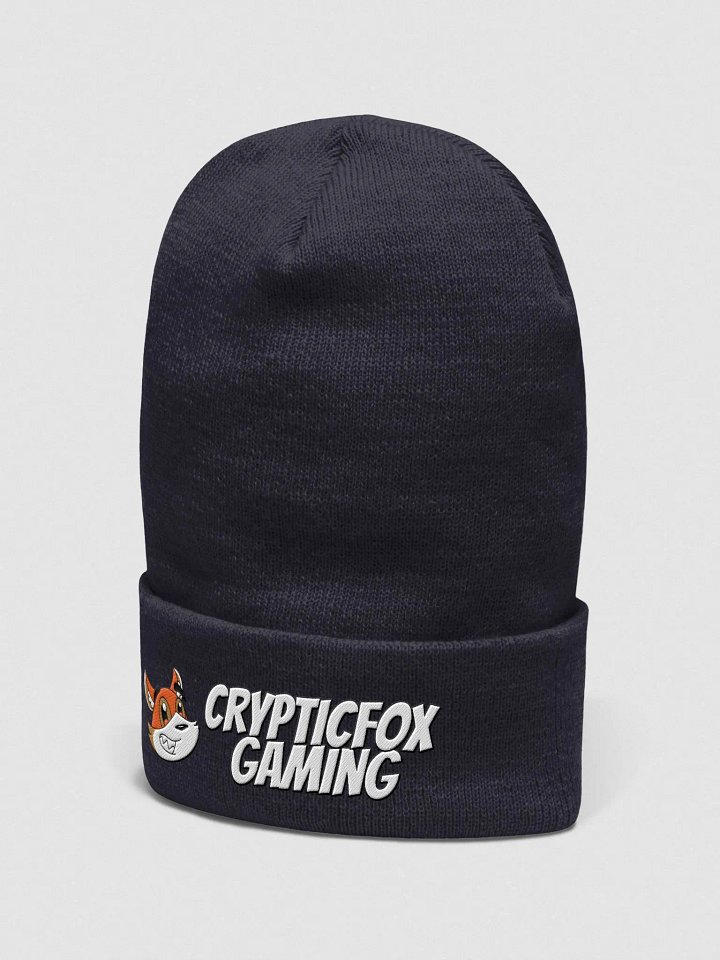 Cryptic Beanie product image (2)