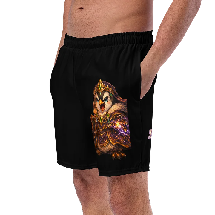 Kingdom Advisor Swim Trunks product image (2)