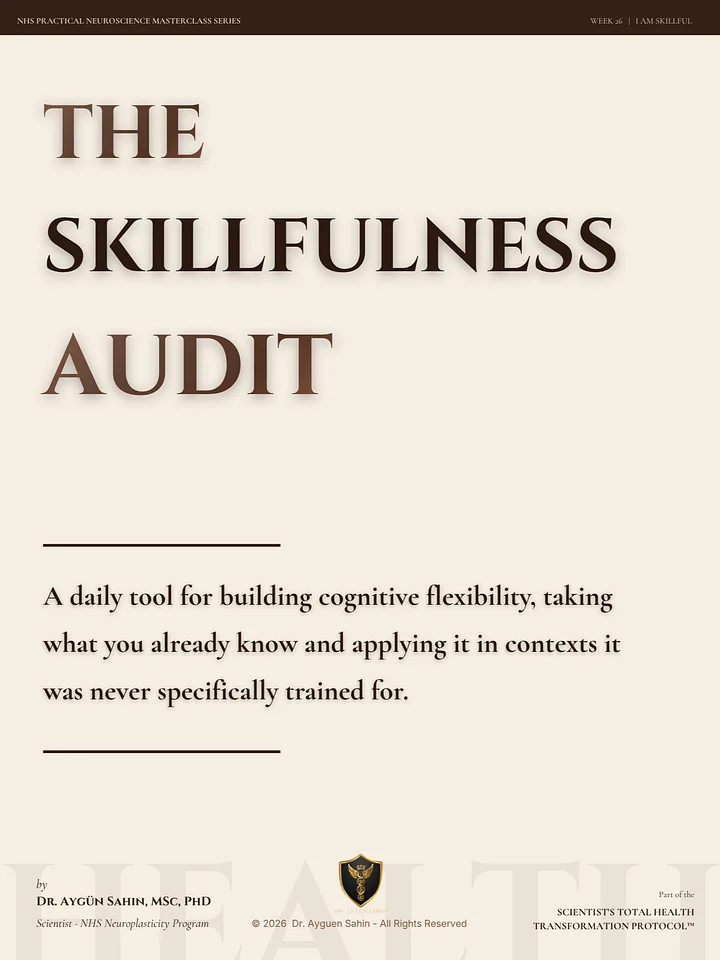 The SKILLFULNESS Audit product image (1)