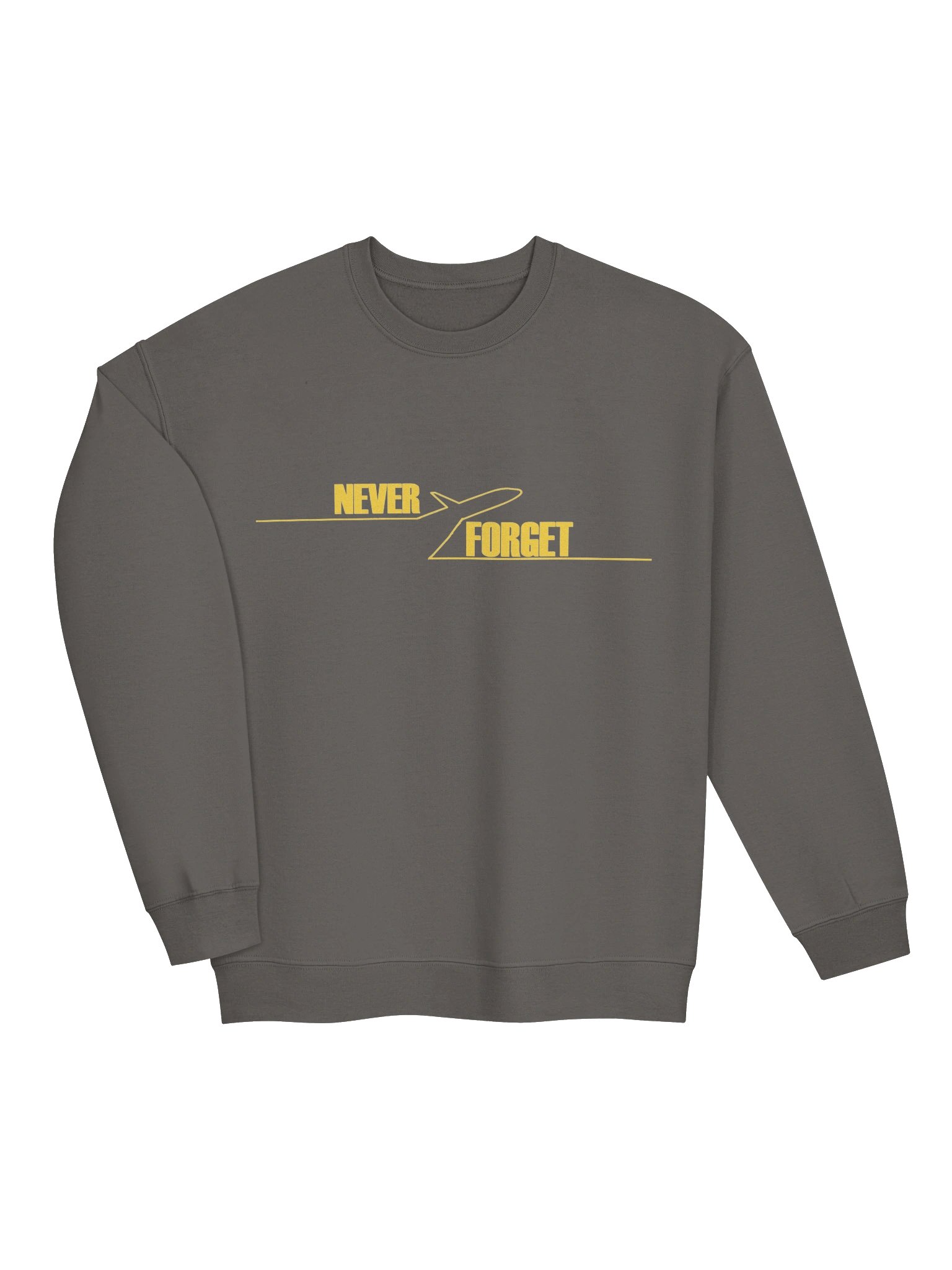 NEVER FORGET SPIRIT AIRLINES 🙏🏾🕊️✨ — SWEATSHIRT (DARK + FULL) product image (11)