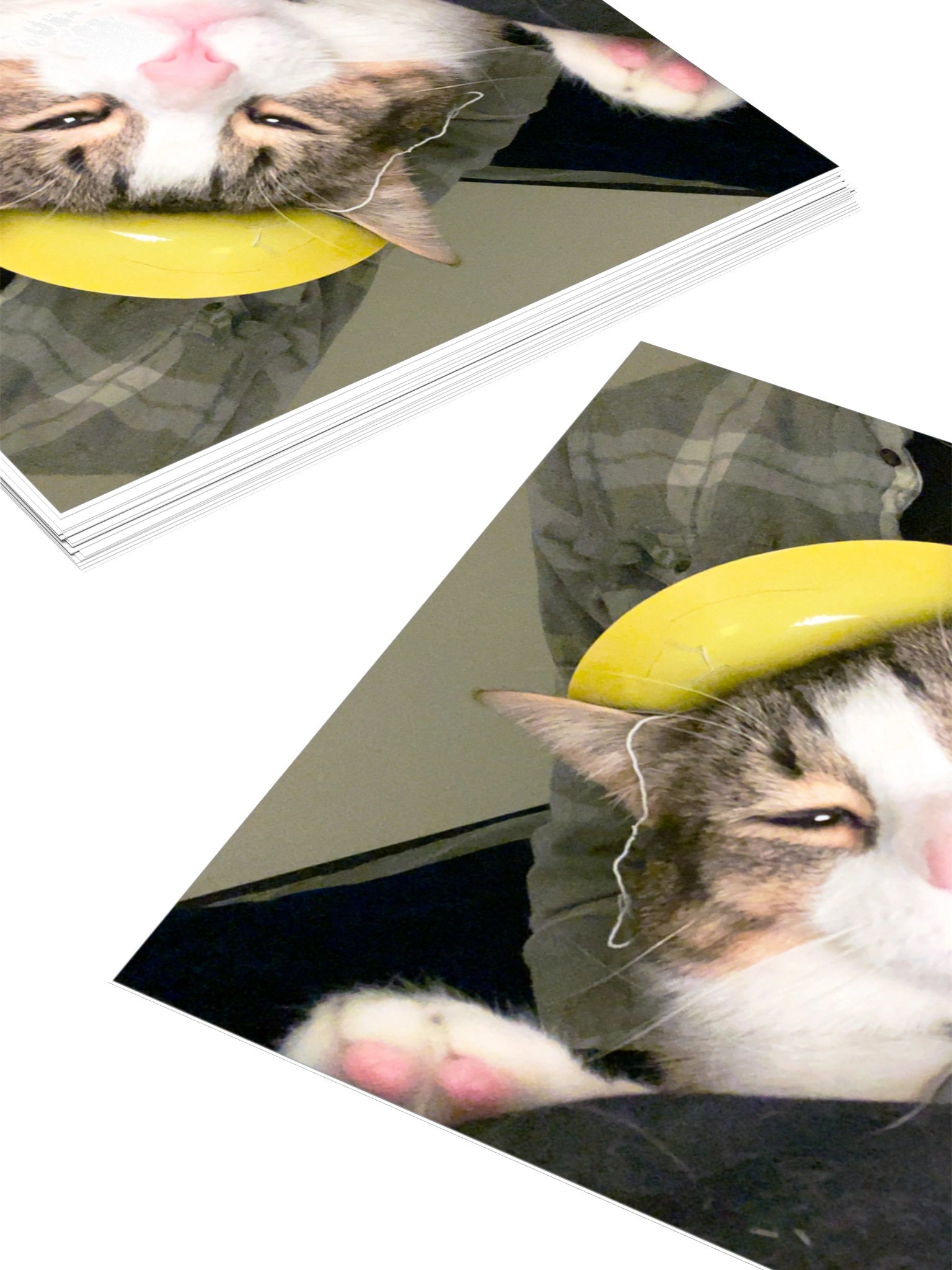Gatito King product image (8)