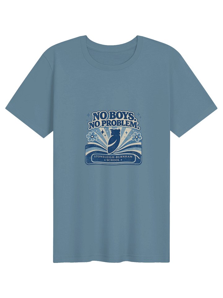 No Boys, No Problem Owl School Tee product image (1)