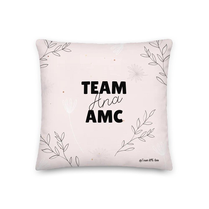 KPDBT - Pink Pillow product image (2)