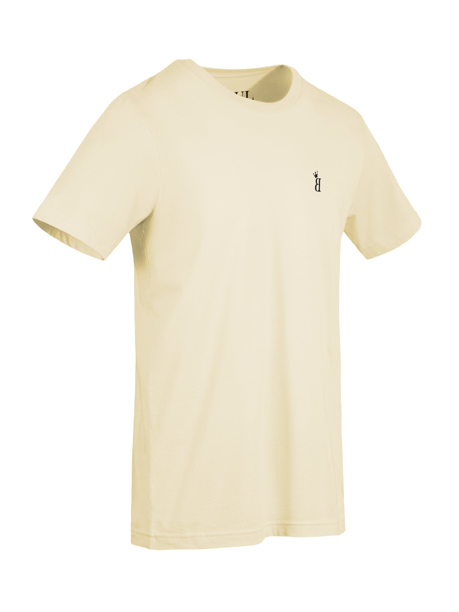 Champion T-shirts product image (27)