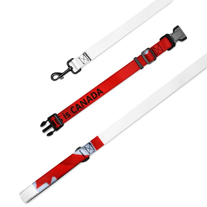 THIS is CANADA Pet Collar and Leash product image (2)