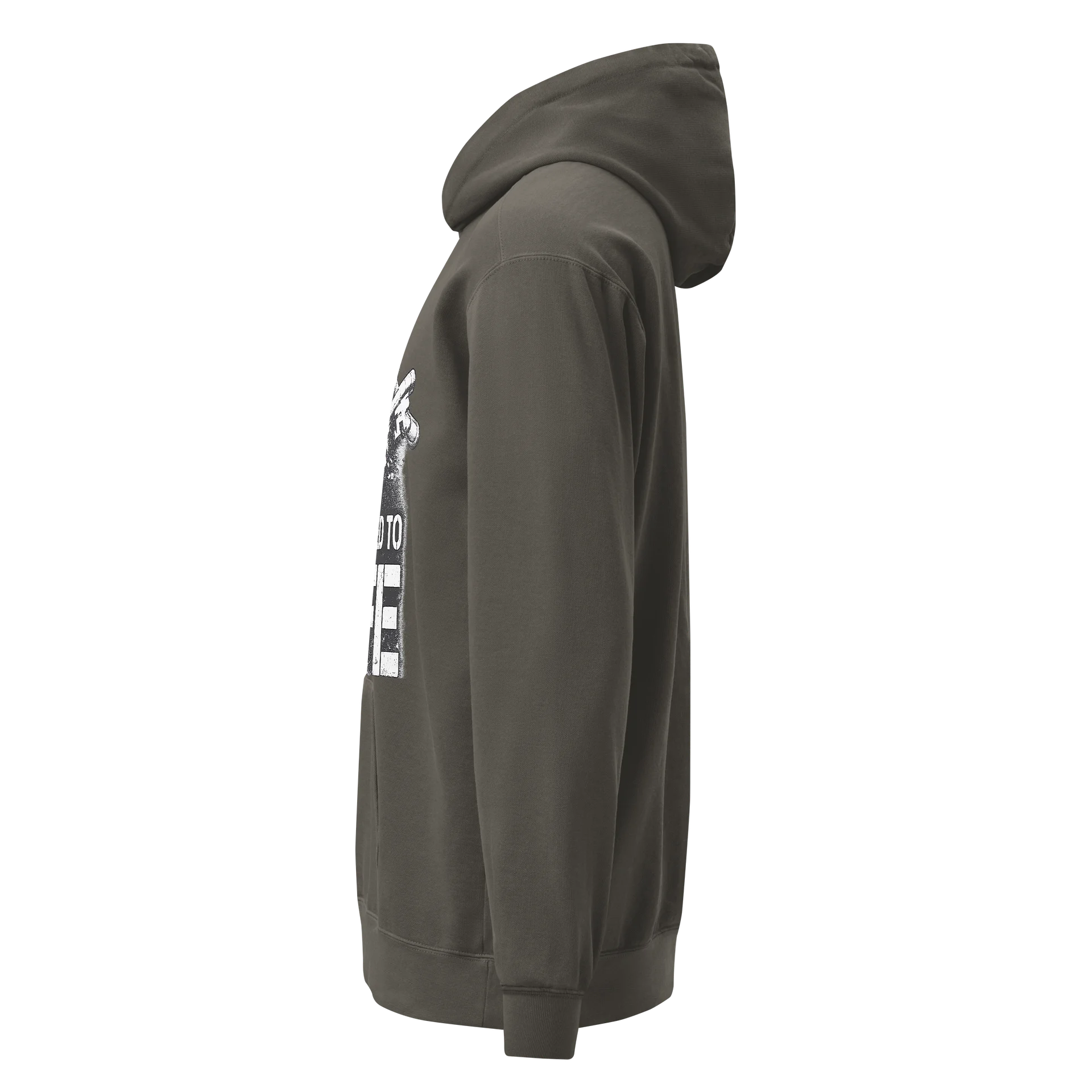 Sentenced to Life Hoodie — A Statement by Anthony Johnson Sr. product image (5)