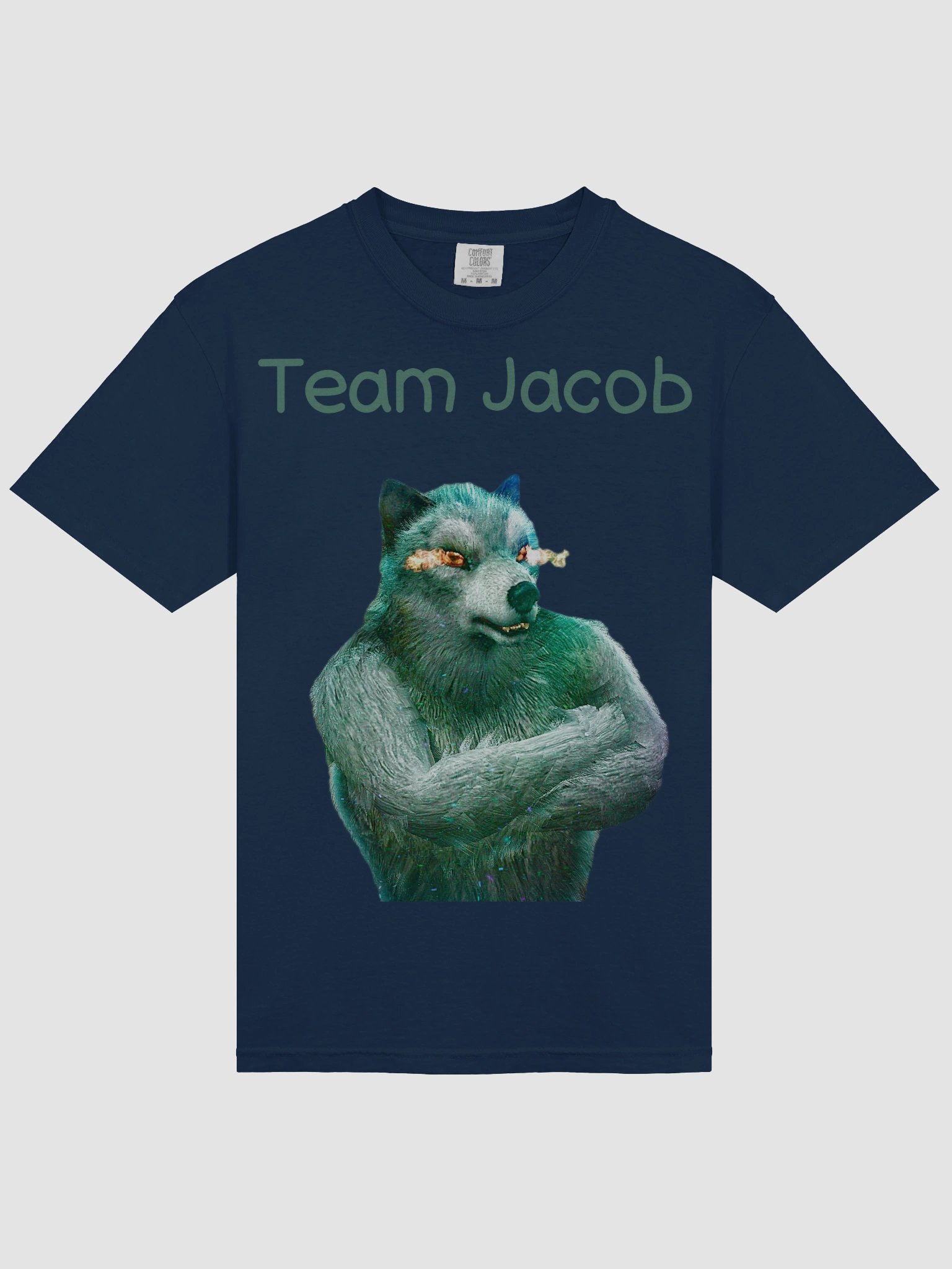 Team Jacob (WOLFSTAR) Tee product image (17)