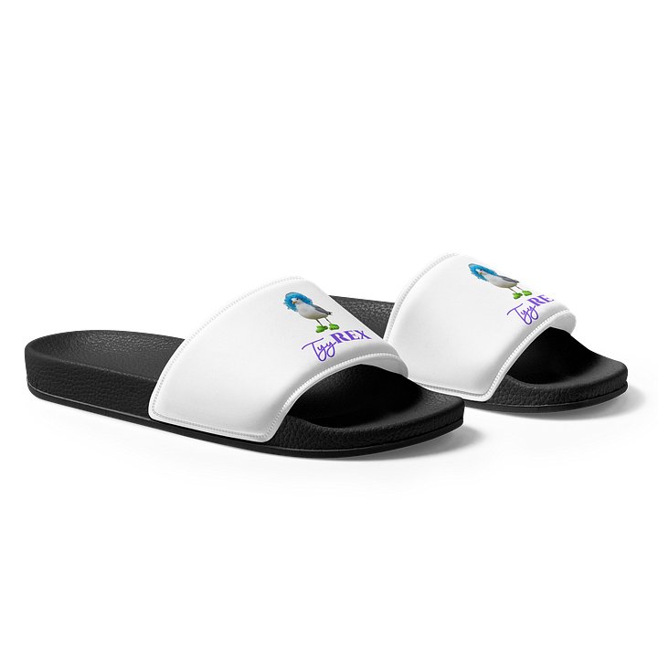 Hot Gull Summer Men's Slides product image (1)