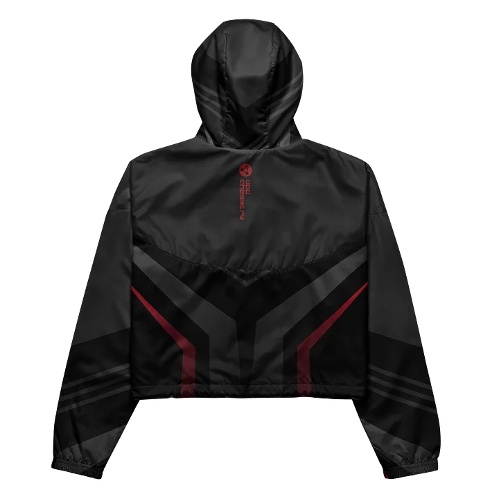 Bad Chemistry: Wind Crop Hoodie product image (2)