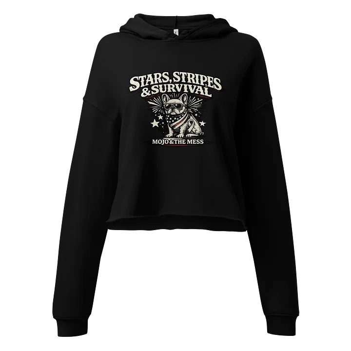 Stars and Stripes crop hoodie product image (1)
