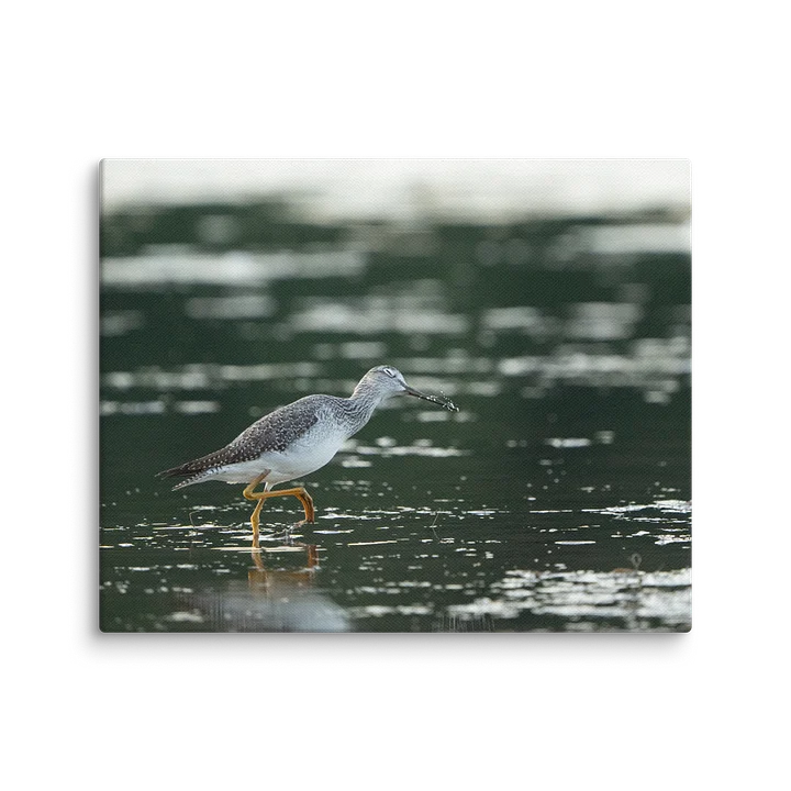 Yellowlegs Flicking Water product image (2)