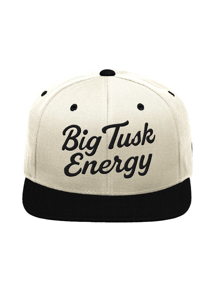 BTE Daily Driver Snapback product image (1)