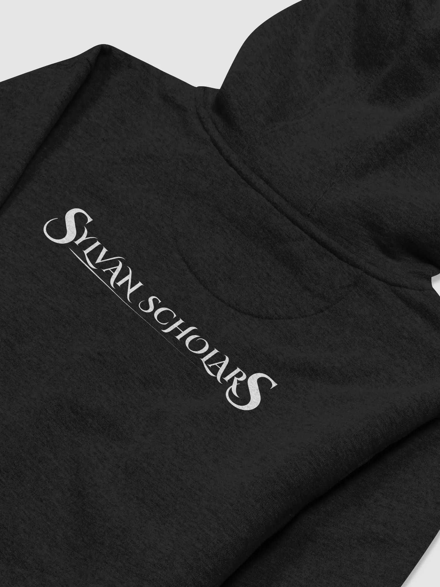 Sylvan Scholars hoodie product image (4)