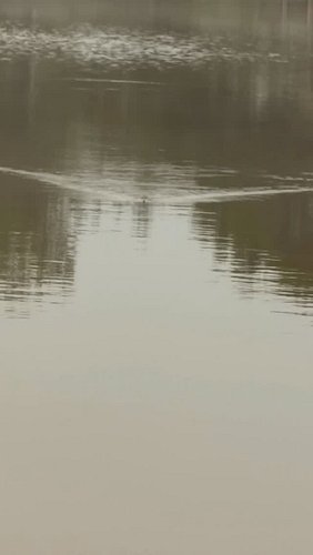 Oh wow…you’re a snake 
#WalkEveryDay