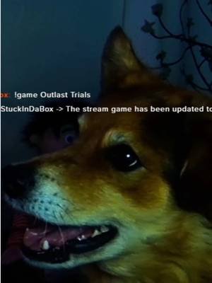 leave some cheeze in the comments.. it’d make him really happy! 😭🧀 #gaming #twitchstreamer #twitchclips #dog #cutedog 