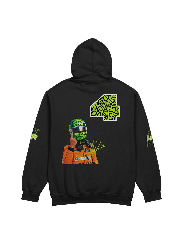 Hoodie LN product image (2)