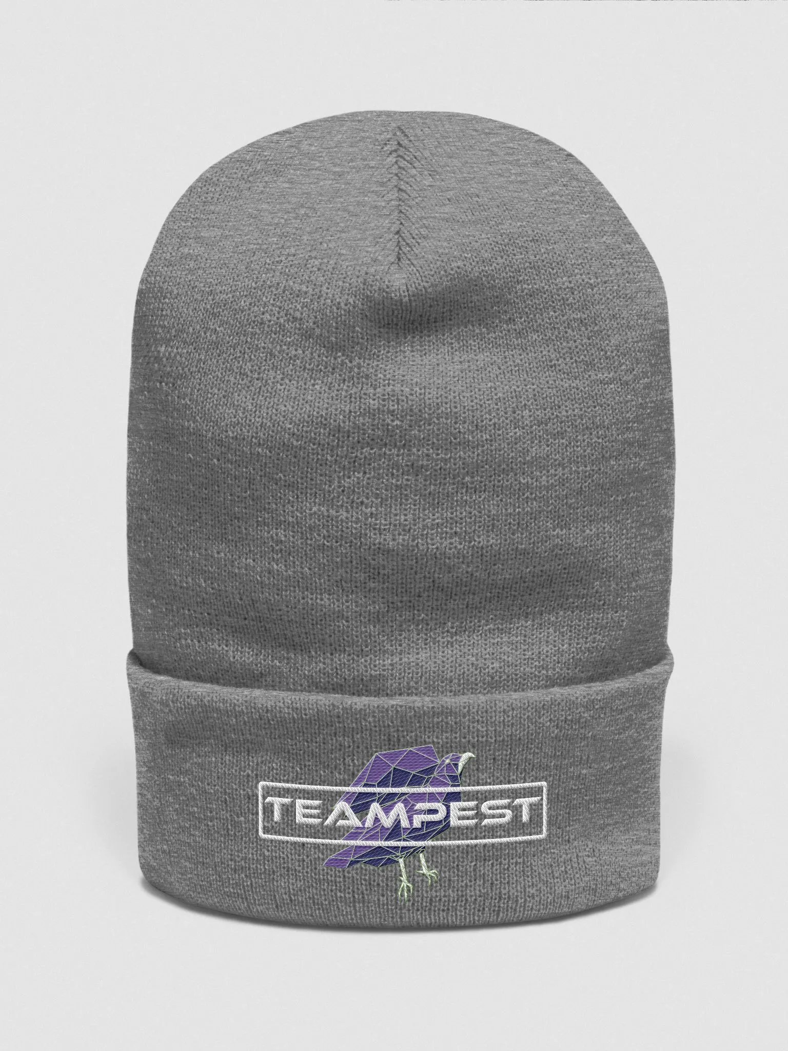 TeamPEST Gray Beanie product image (1)