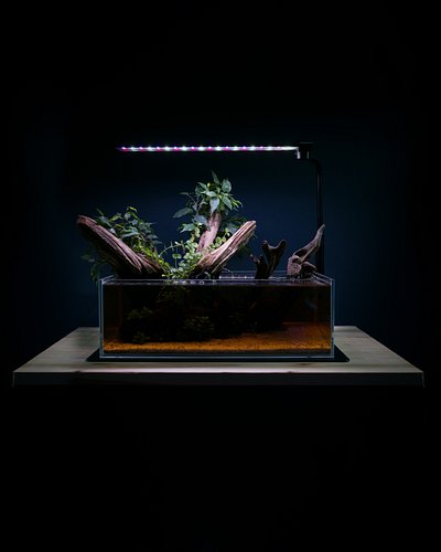 I wasn't planning for this to be a blackwater tank, but the 