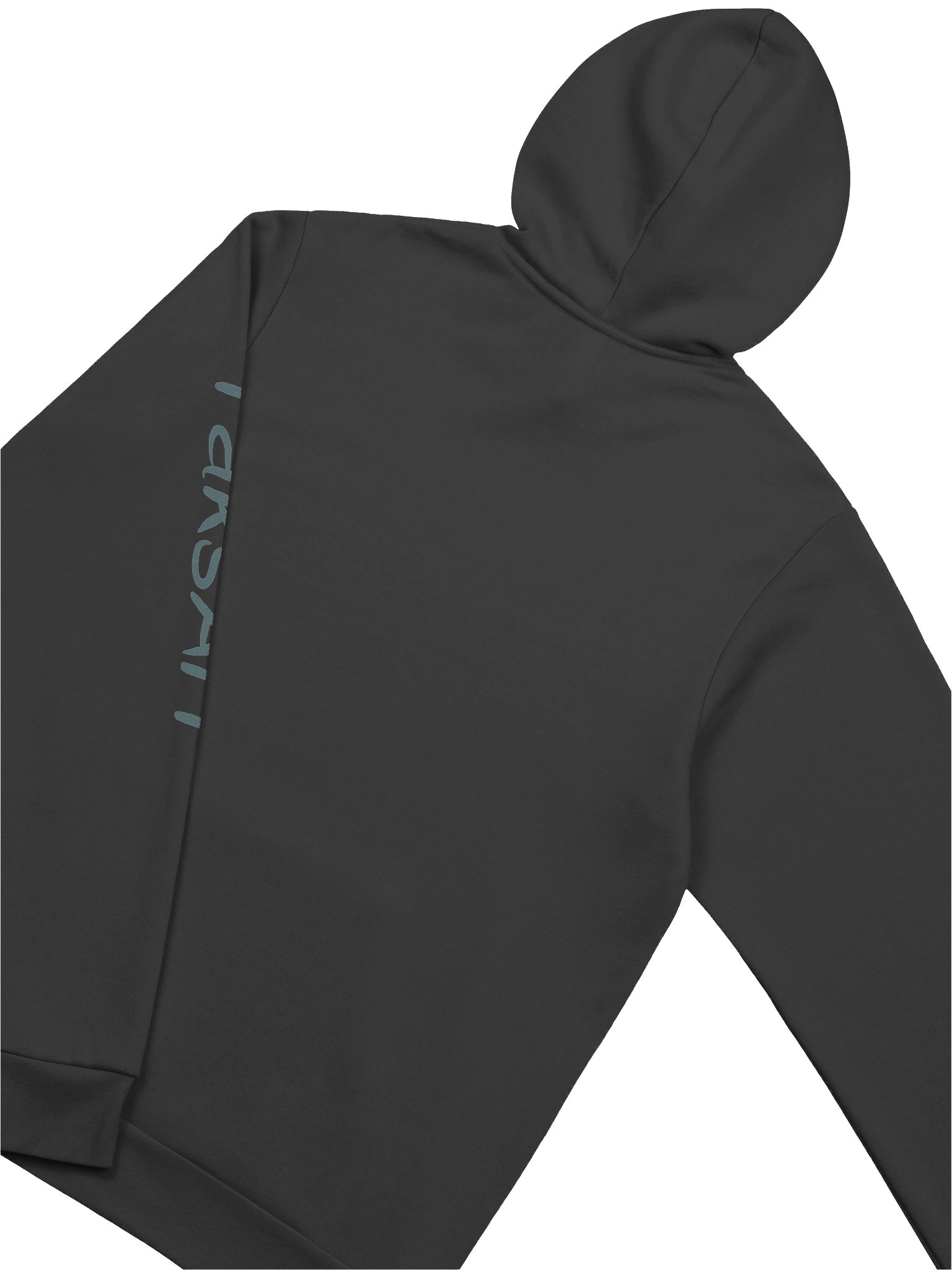TaksArt - Logo Hoodie product image (4)
