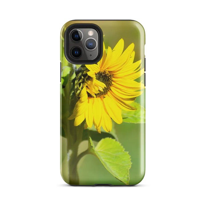 Tough Case iPhone®: Sunflower in early autumn product image (2)