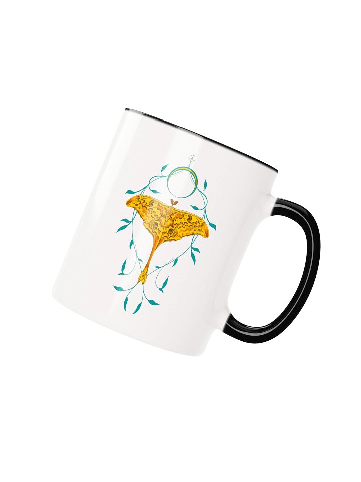 Madagascan Moon Moth product image (15)