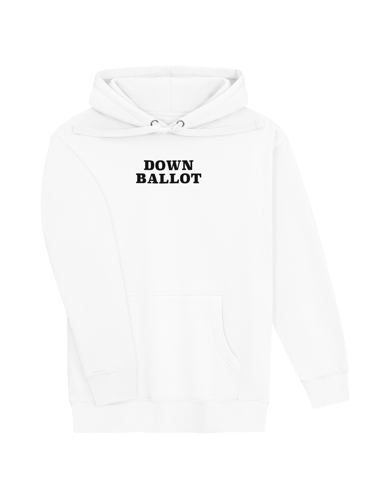 Down Ballot Hoodie (Light) product image (3)