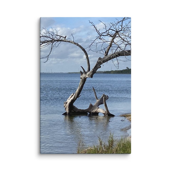 Serenity's Edge Canvas product image (2)