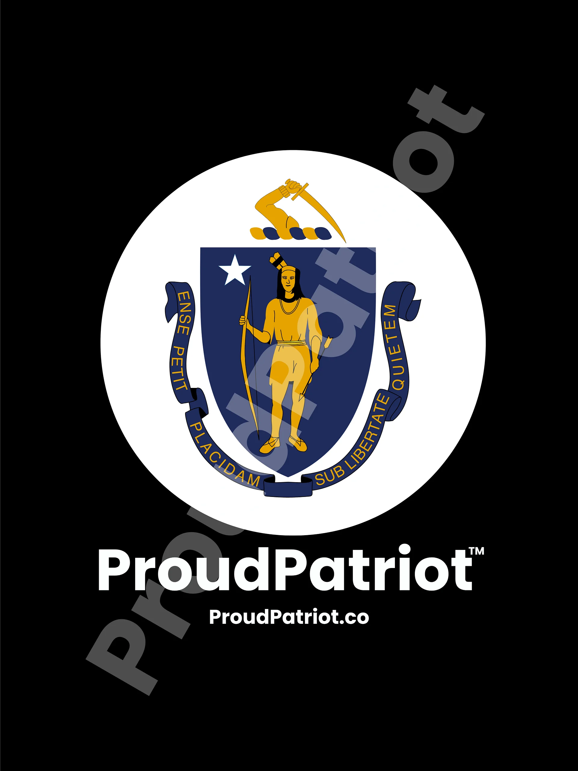Massachusetts Proud Screensaver Dark Mode product image (1)