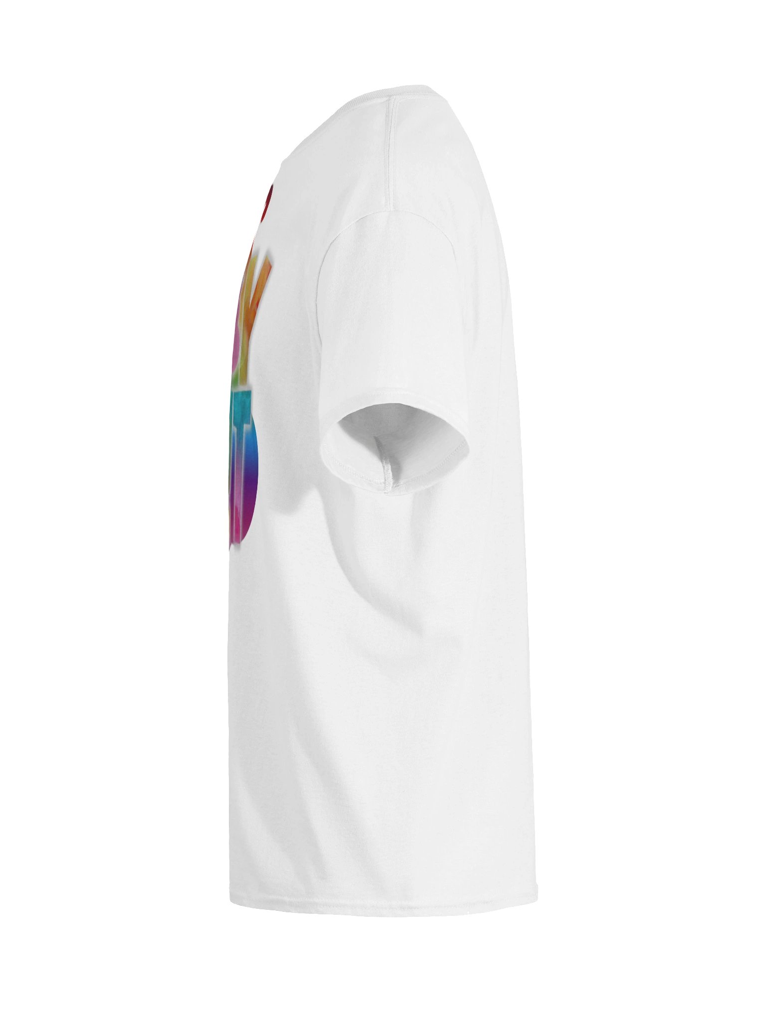 GAY SH!T Heavyweight T-Shirt product image (99)