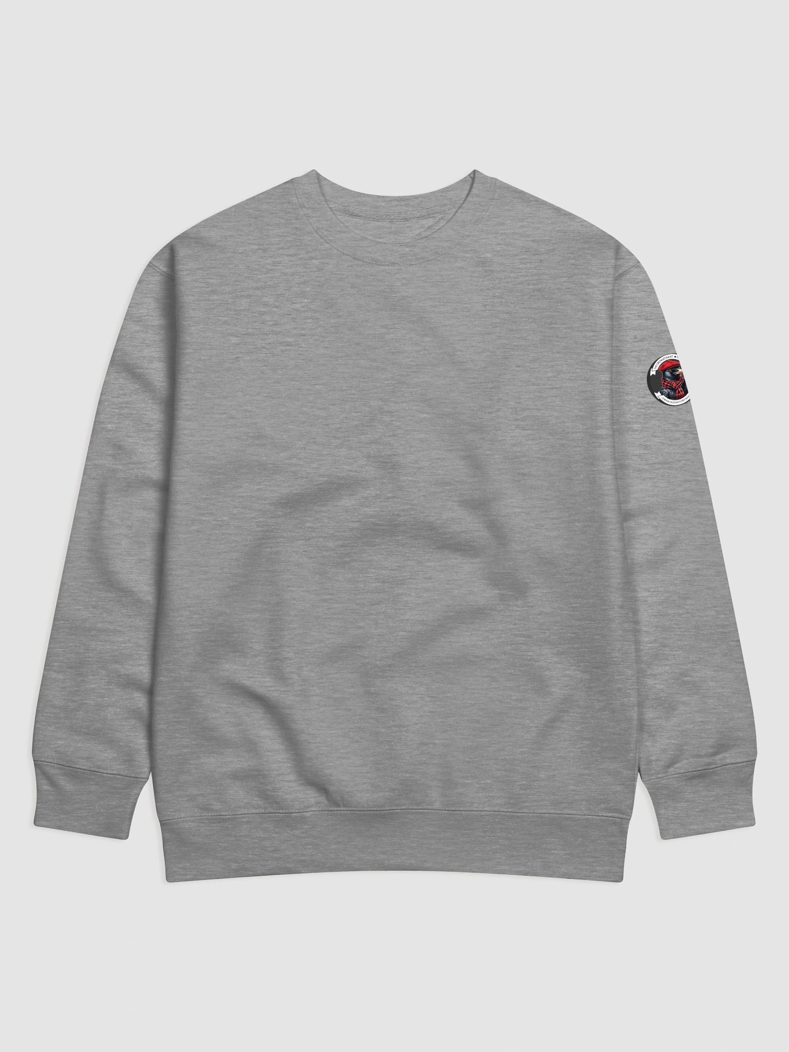 This is Not a Protest Sweatshirt product image (2)