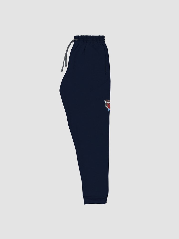 DTS Unisex Joggers product image (2)