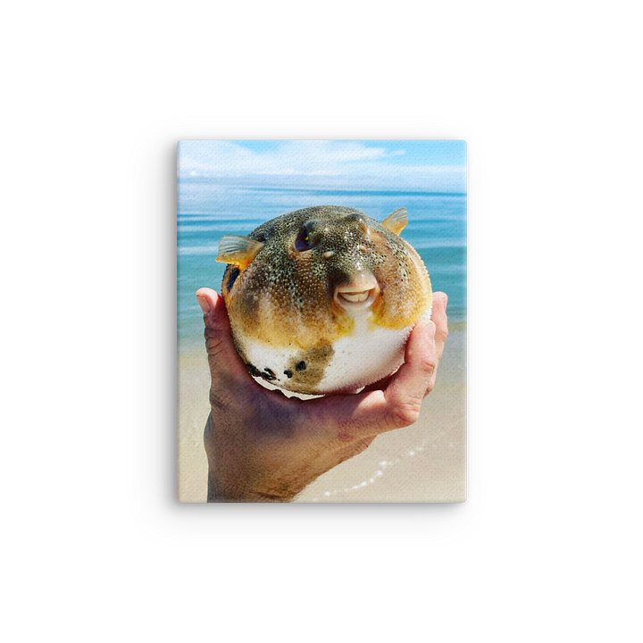 Northern Puffer product image (12)