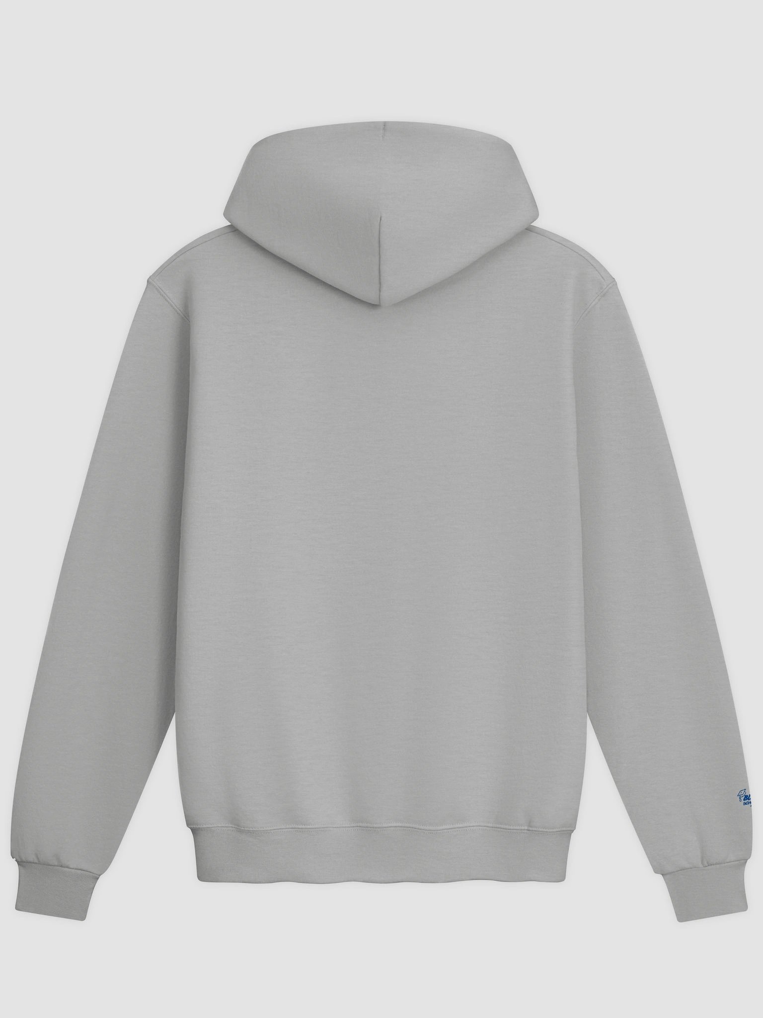 Dangerously literate. Champion collaboration. Hoody. product image (2)