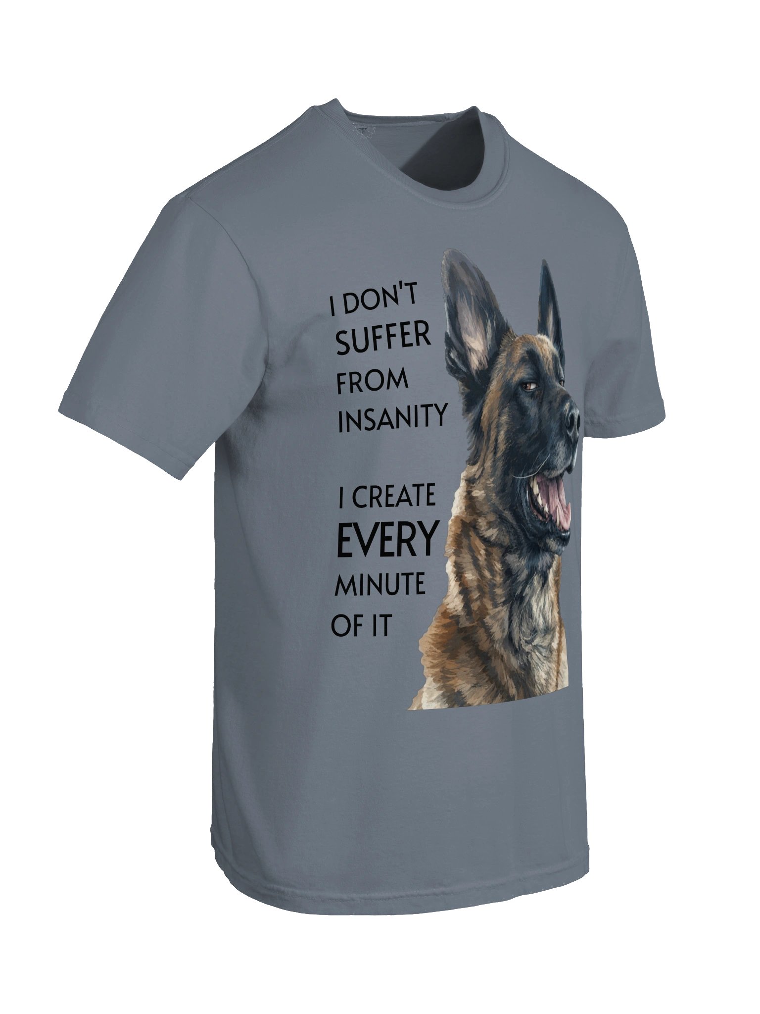 I don't suffer from insanity product image (47)